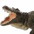 Фигурка Papo - Нильский крокодил  - миниатюра №2